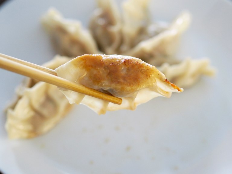 Pork Dumplings